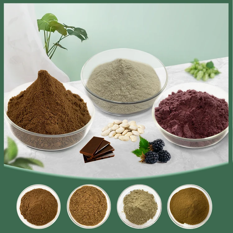 Hot Selling Plant Extract 10:1 Artichoke Extract Powder Cynara Scolymus Extract With Reliable Quality