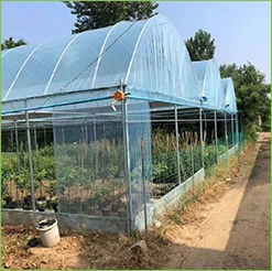 polyethylene Greenhouse plastic film Plastic film agriculture Greenhouse film features superior strength and toughness