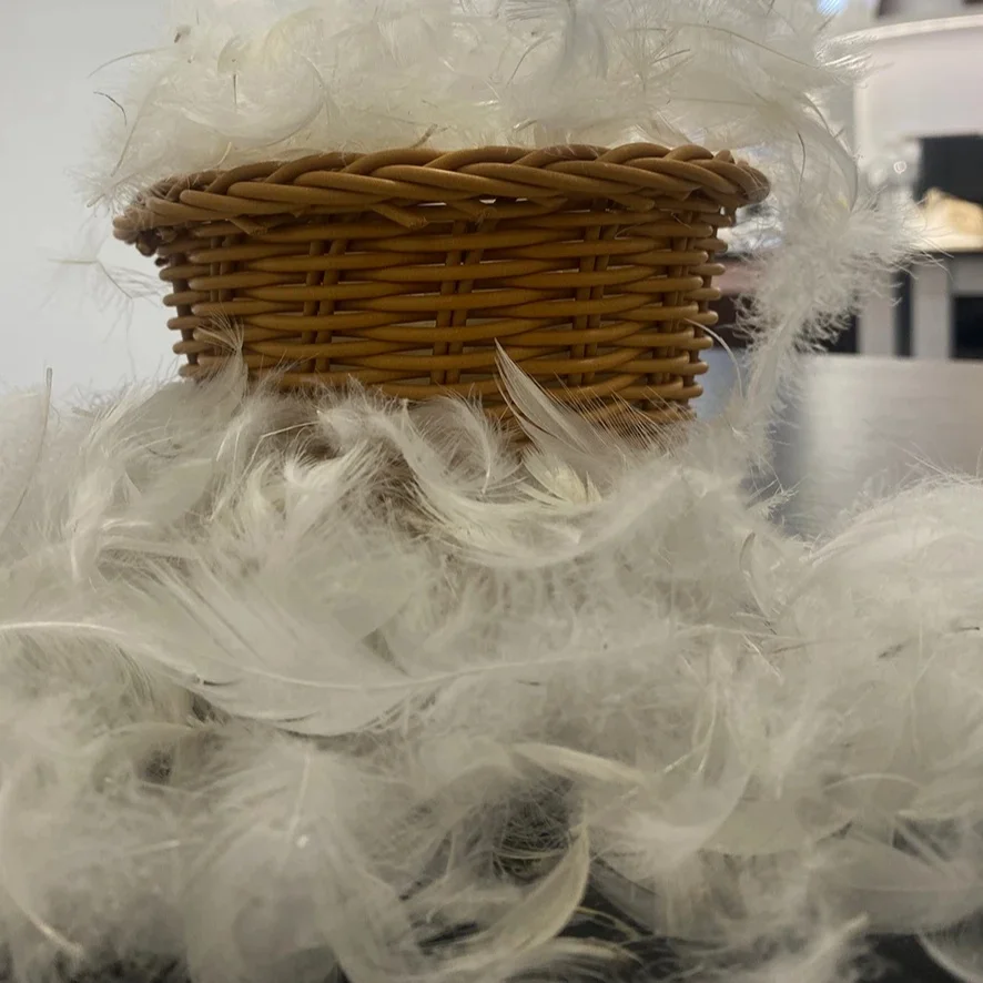 Wholesale 2-4CM 4-6CM 6-8CM  Washed White Duck Feather and 5%-95% Duck Down Raw Materia for Sale