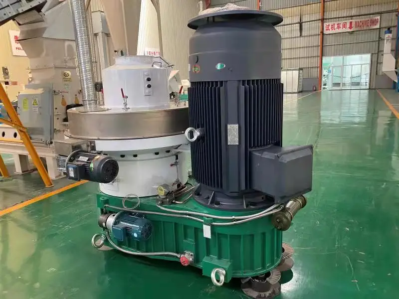 Europe Customer Purchase Directly Hot Sale Biomass Complete Wood Pellet Production Line