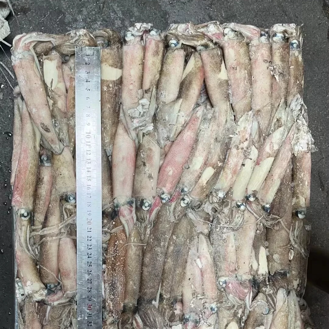 Loligo chinensis Замороженные Кальмары loligo целые круглые кальмары