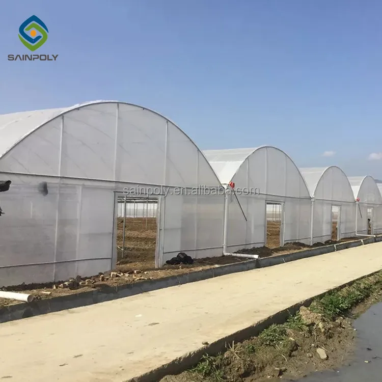 Wholesale greenhouse China factory price manufacture greenhouse