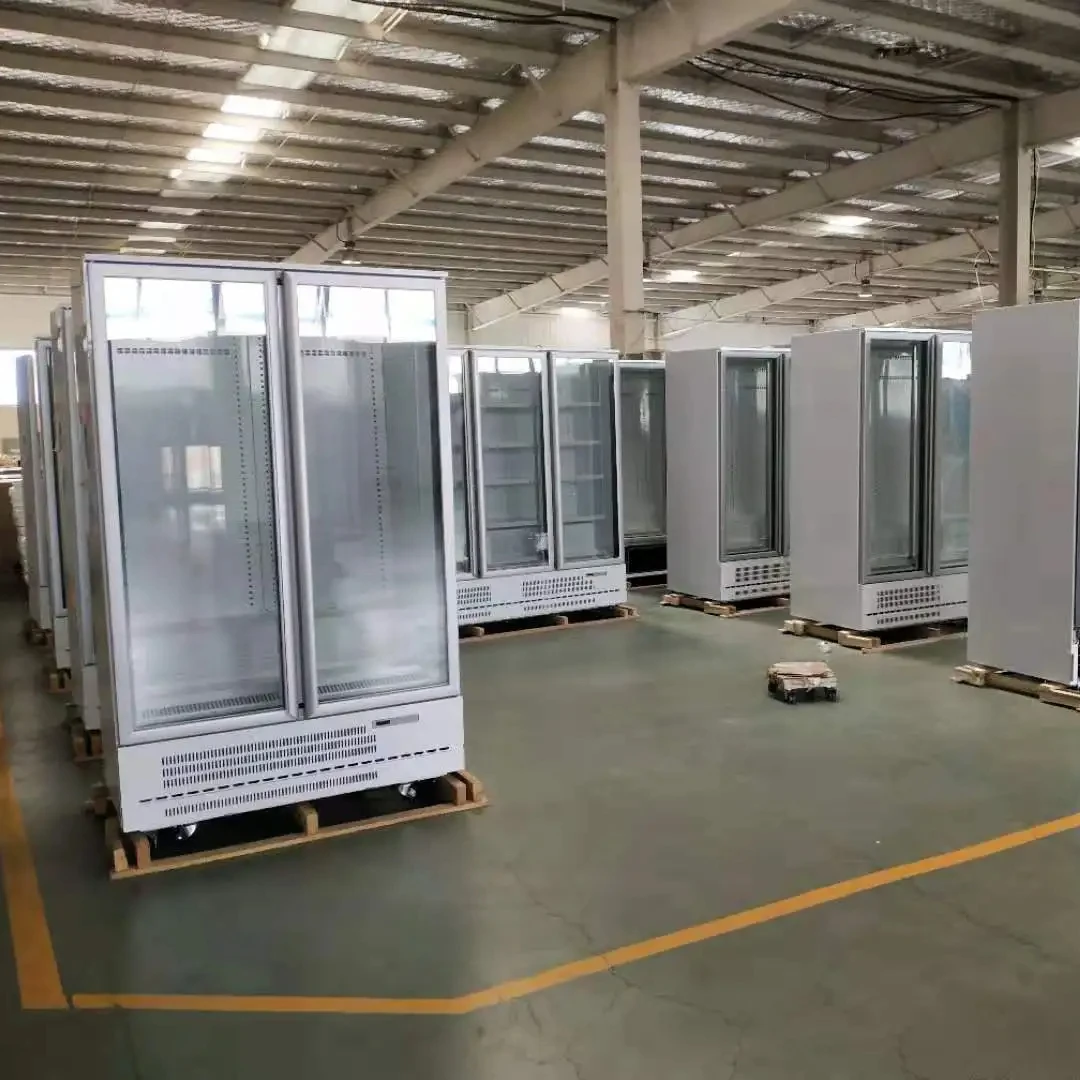 Commercial Beverage Refrigerator Freezer Vertical Showcase Freezer Upright Freezer With Single Glass Door