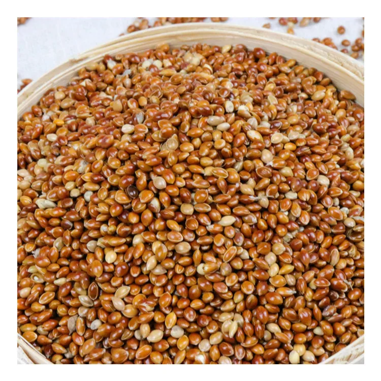 
Private Label Organic Cereal Millet Seed Feed Red Millet For Bird 