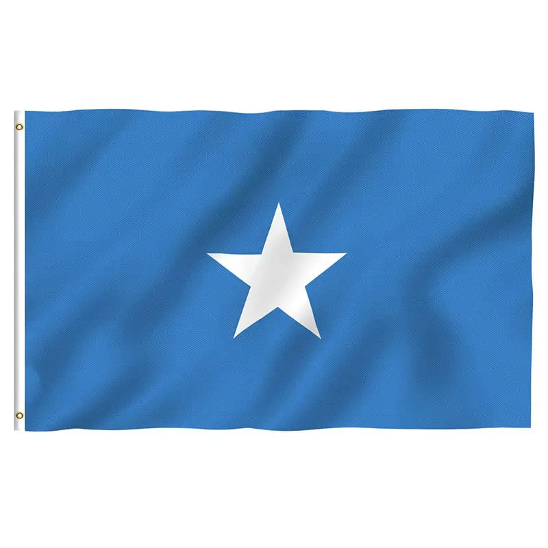 Wholesale high quality 3x5 Ft Thicker Flag of Somali Polyester National double stitching outdoor decoration Somali Flag