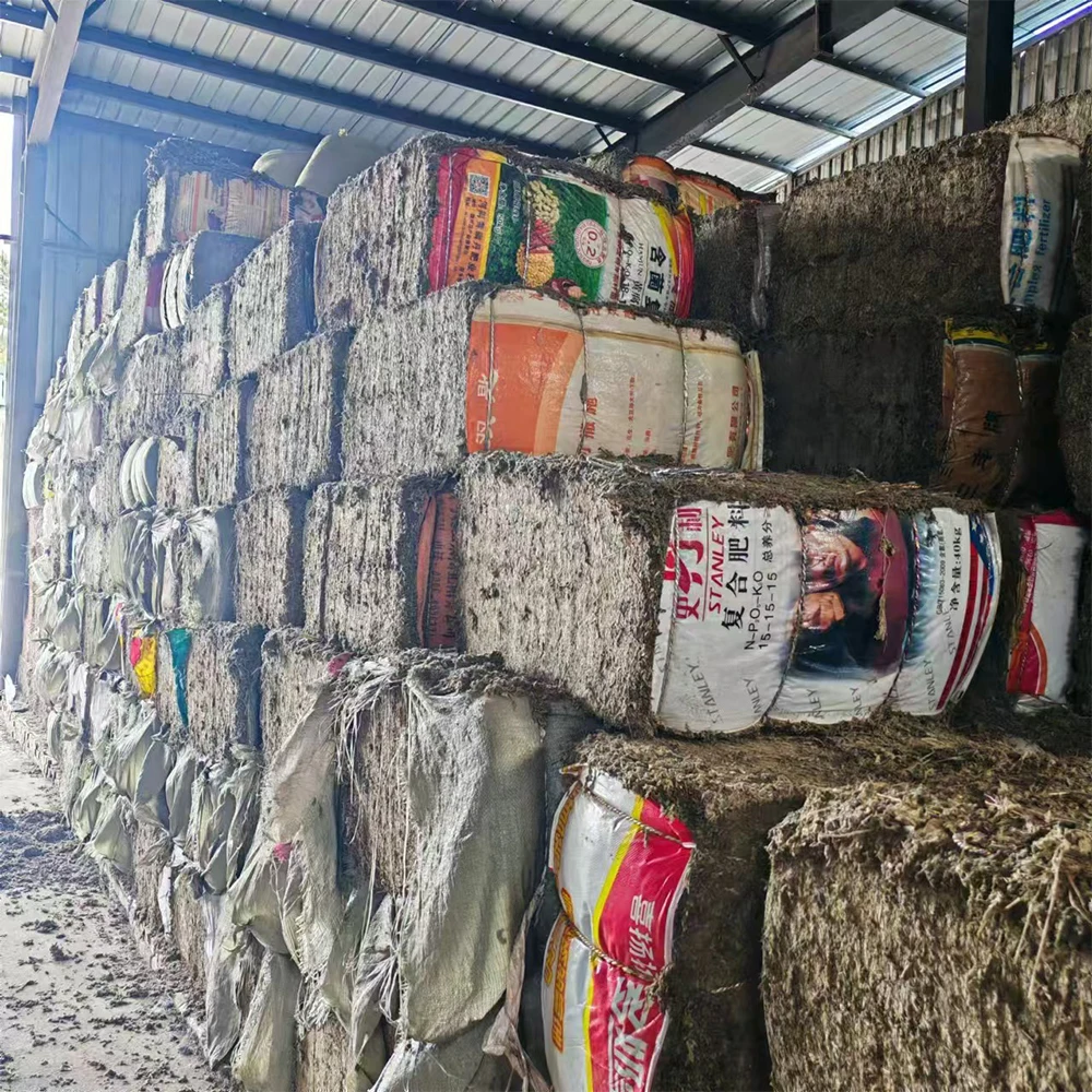 100% Natural Artemisia Argyi 3-year Aged Wildcrafted Mugwort Premium Organic Mugwort Leaves Bagged Dried Mugwort Leaves