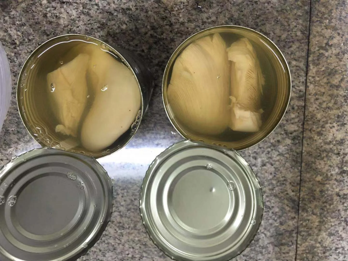 Canned Bailing mushroom 850g
