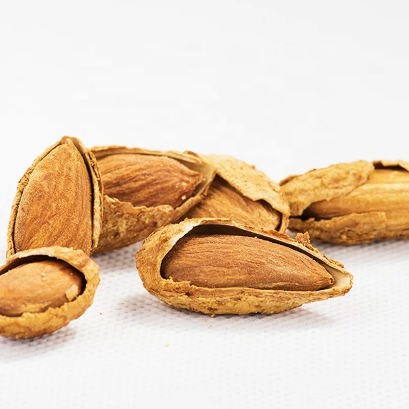 Almond Nuts Price / Almond Kernel / Almond Wholesale Price