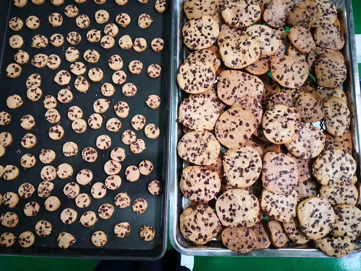 Customized mould size nuts almond paste cookie dough extruder cutter slicer machine