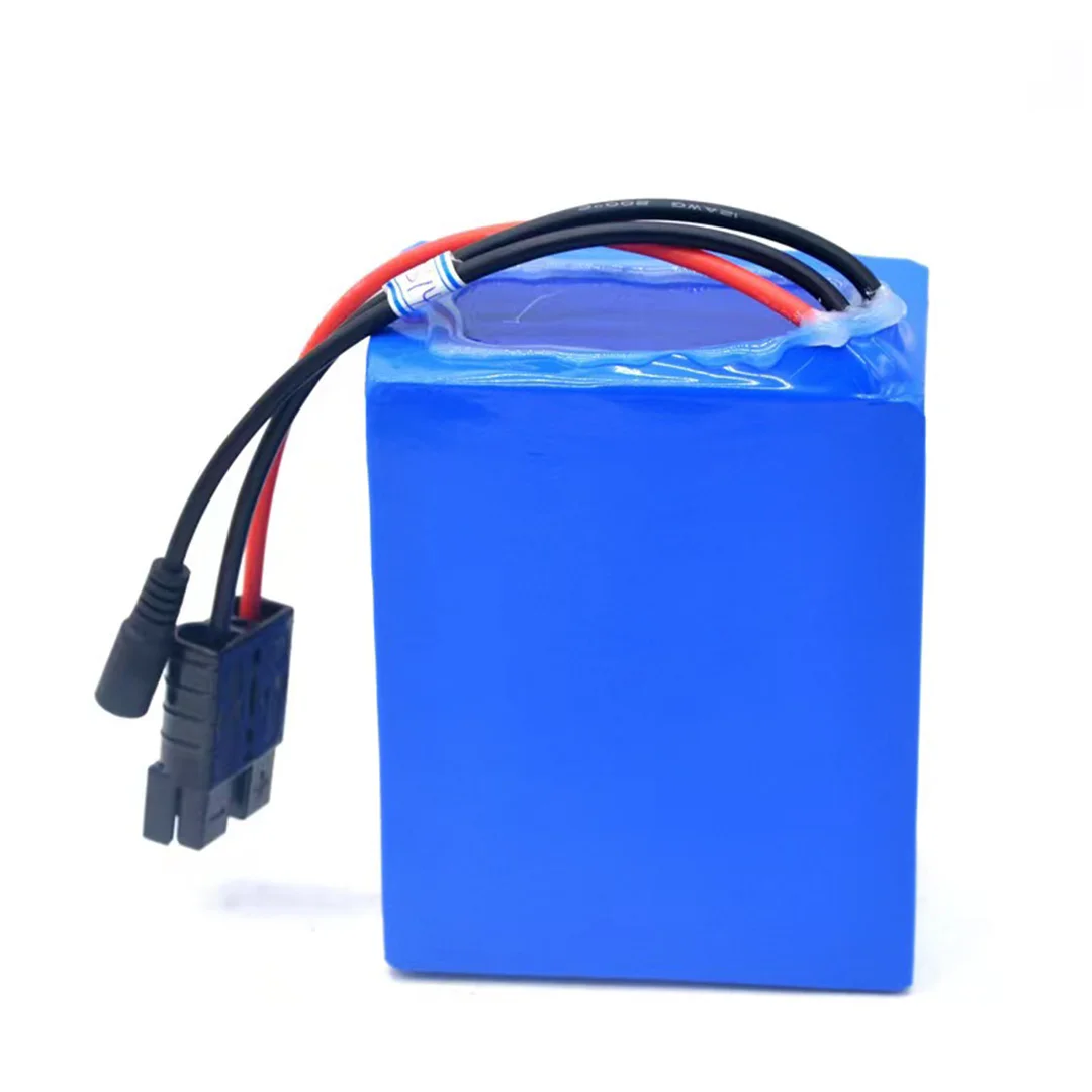 Discount 48v 60Ah Lithium Ion 48v 50Ah Built-in BMS Lifepo4 48 Volt Golf Cart Battery Marine Battery Pack Solar Energy Storage