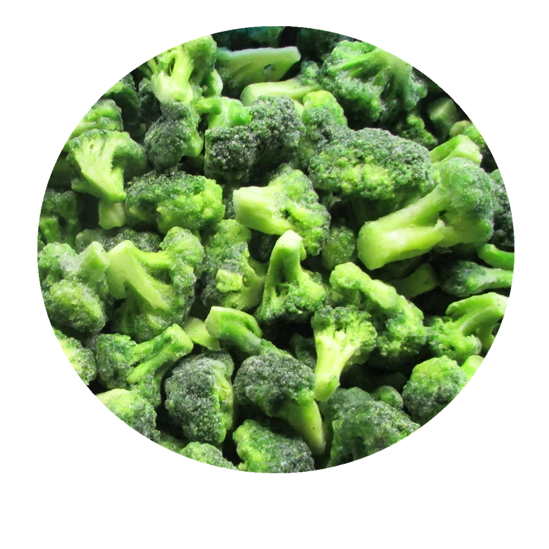 
New crop IQF Frozen Broccoli organic vegetable frozen vegetables 