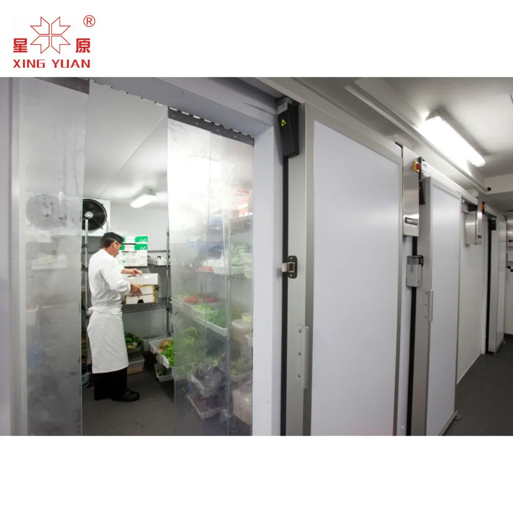 100T fruit and vegetable cold room storage with high quality compressor and long service life