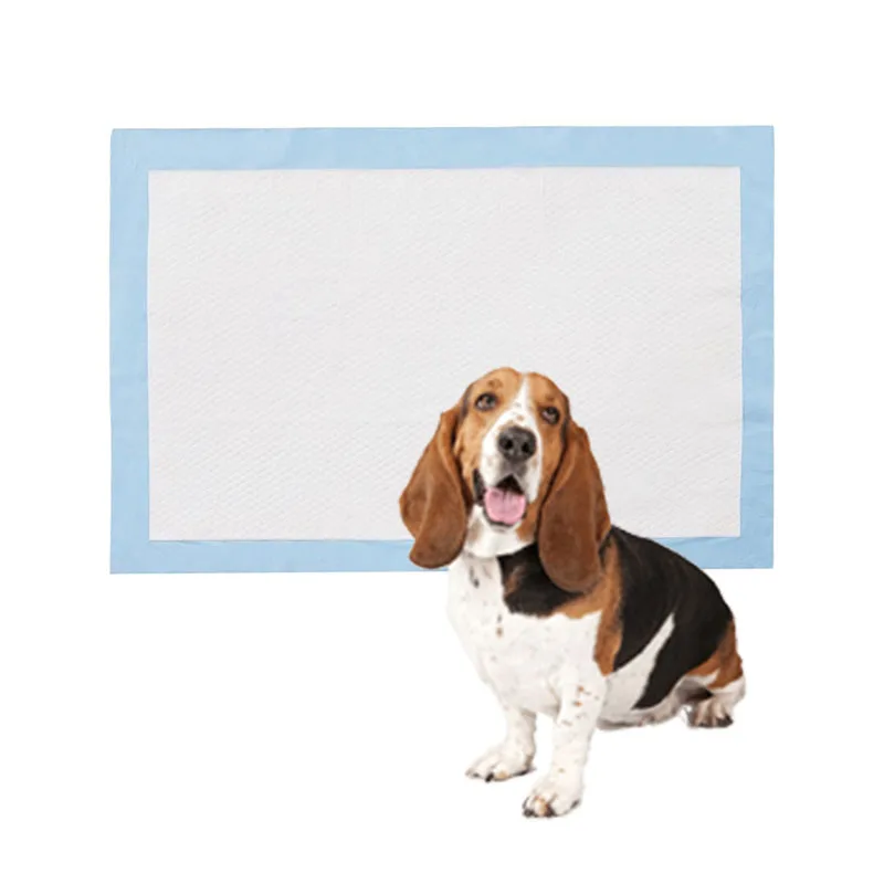 Бесплатные образцы от производителя, одноразовые подушечки для поезда для домашних животных, мочевые прокладки 60x60 см