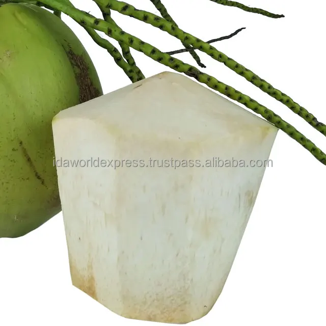 Wholesale Coconuts Thai Fresh Young Coconut The Thailand Organic Wholesale Coconut