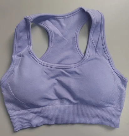 Sports Bra Tops Women's Gym Clothing Promotion Drop Shipping Seamless Pants Sportswear Casual Stretch Seamless Yoga Set