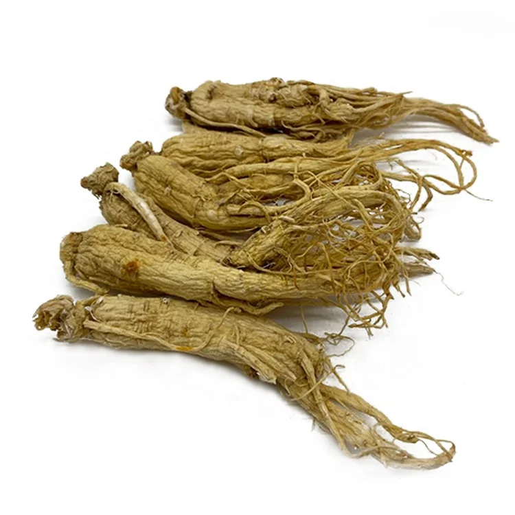 
Hot selling medicinal Ginseng Root factory direct sale 