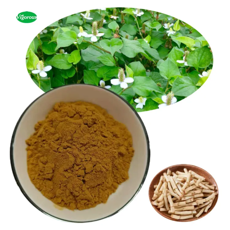 For health Factory supplied Free samples High quality Houttuynia cordata  Houttuynia