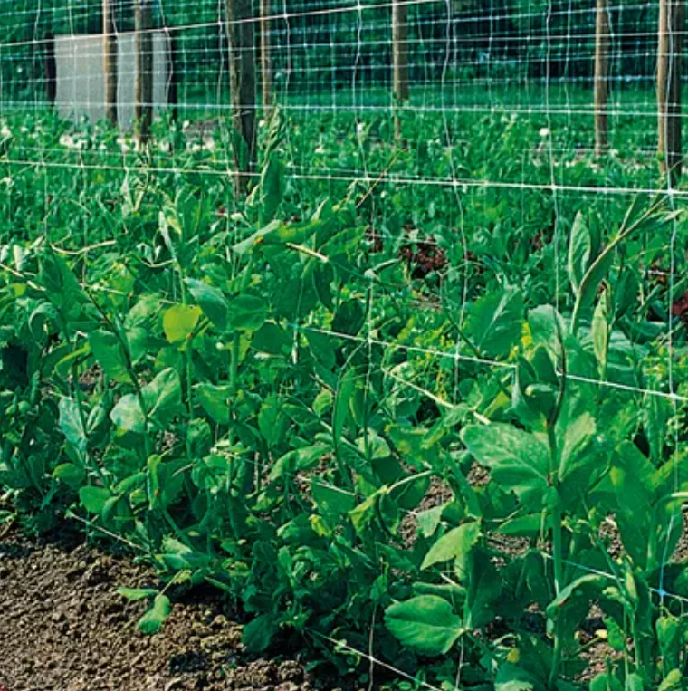 Plastic Trellis Netting Roll  ft Heavy-Duty Garden