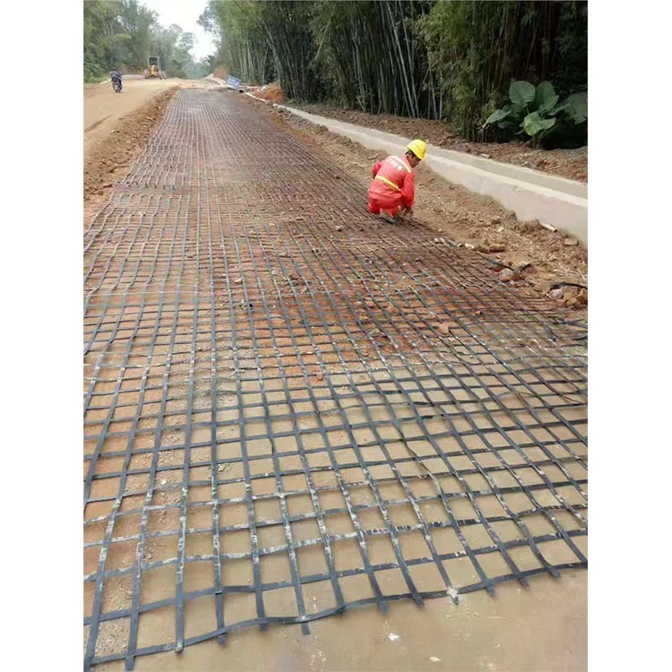 Customization Polyester Geogrid Railway Driveway Road Reinforcement Steel Plastic Geogrid