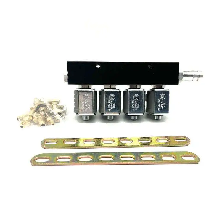 Lpg Cng Sequential Fuel System Injection Auto Gas Efi Kit Injector Rail 2ohm 3ohm 4 Cylinder Car Injector Rail