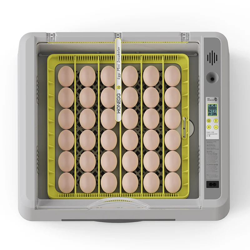 HHD WONEGG 36 Poultry Best Egg Hatching Machine Mini Chicken Incubator for Laboratory