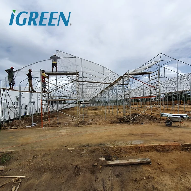 low cost economic tunnel greenhouse for vegetable steel strong skeleton low cost greenhouse