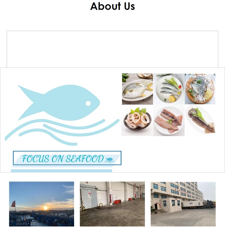 gaint squid tentacles lllex Argentinus