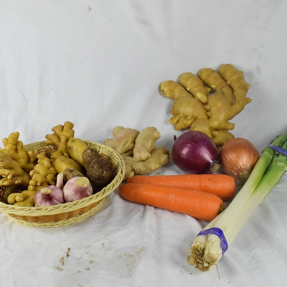 
Wholesale Pure Natural Grown Green Scallions With Competitive Price 