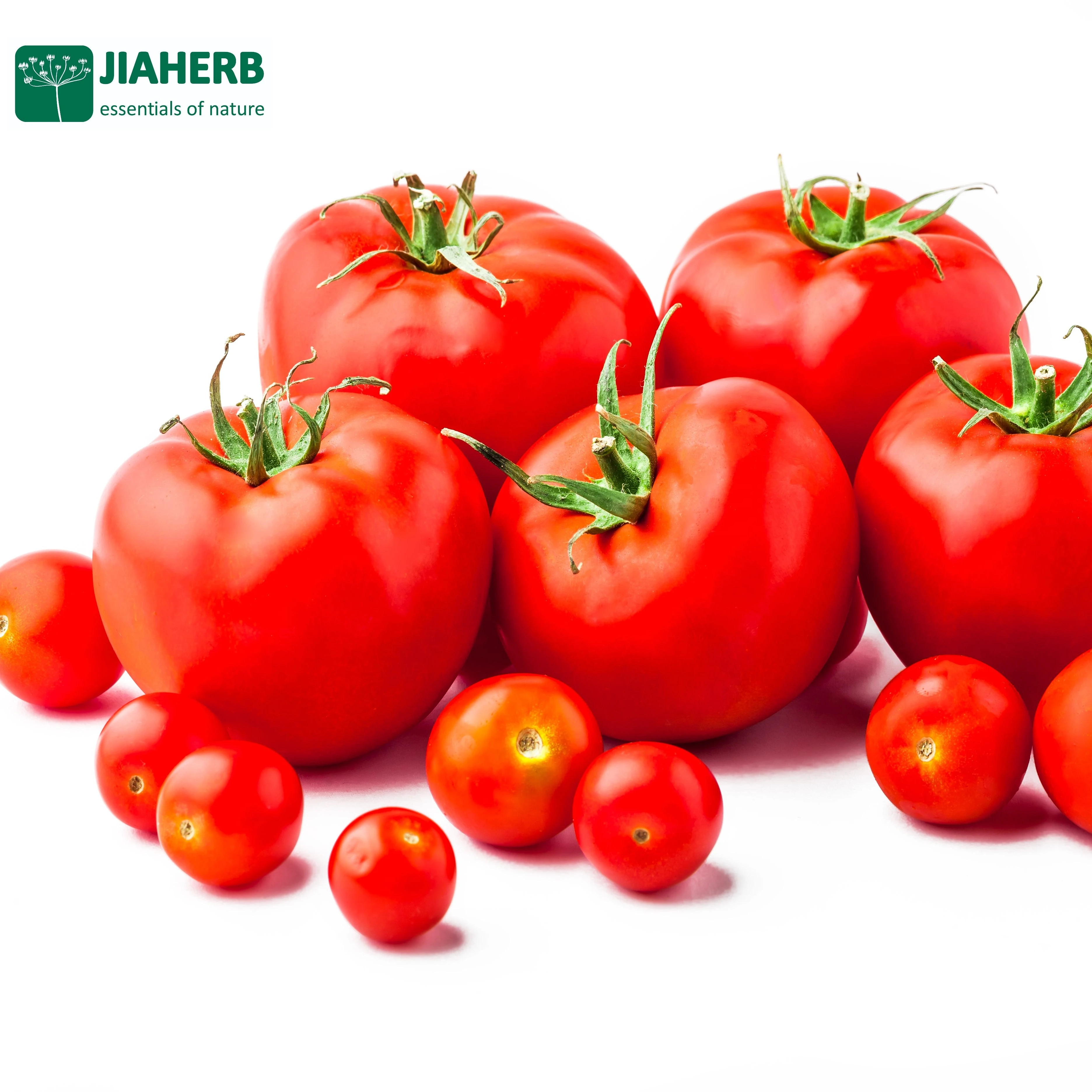 JIAHERB Kosher Tomato Extract  Lycopene Powder