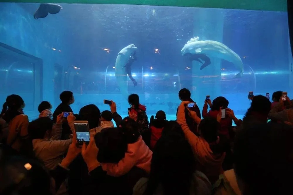 factory sell clear acrylic panel price