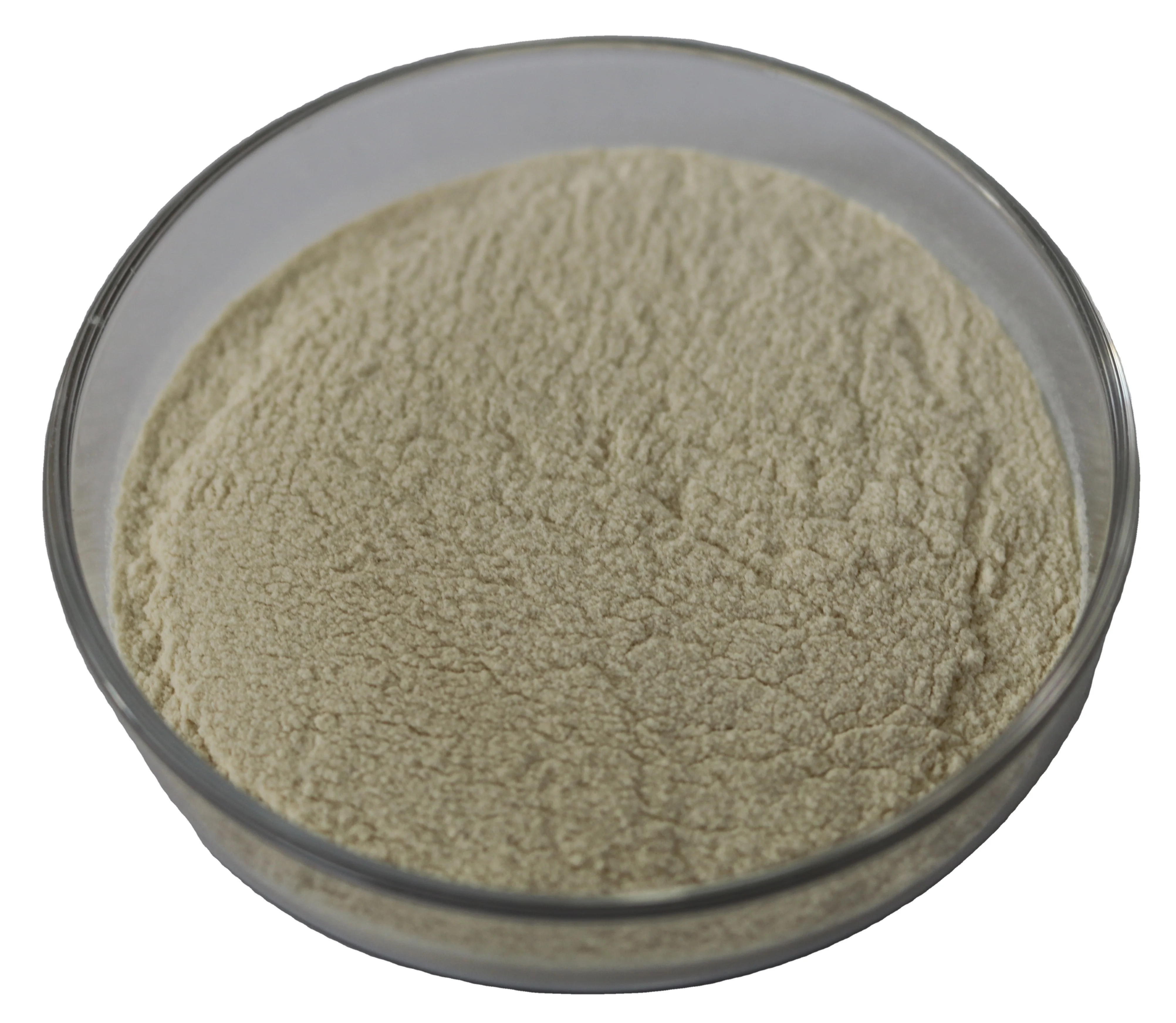 Cas 11138-66-2 производитель качества еды ксантановая камедь