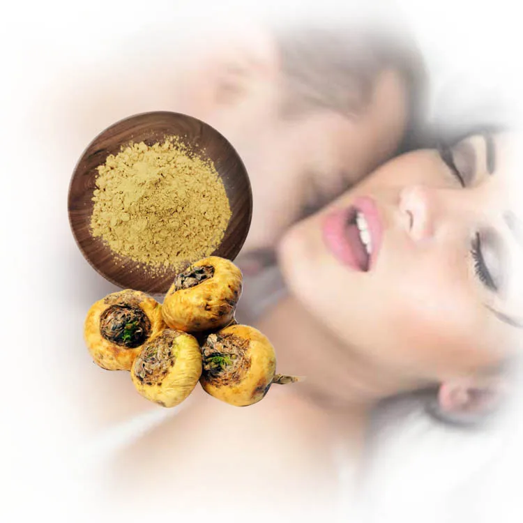 Maca Root Extract Supplements Maca Root Extract Coffee Capusles Powder FOR MEN