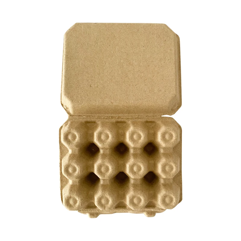 factory wholesales biodegradable paper fiber egg container 12 holes chicken cells carriers with lid rigid strong durable egg box