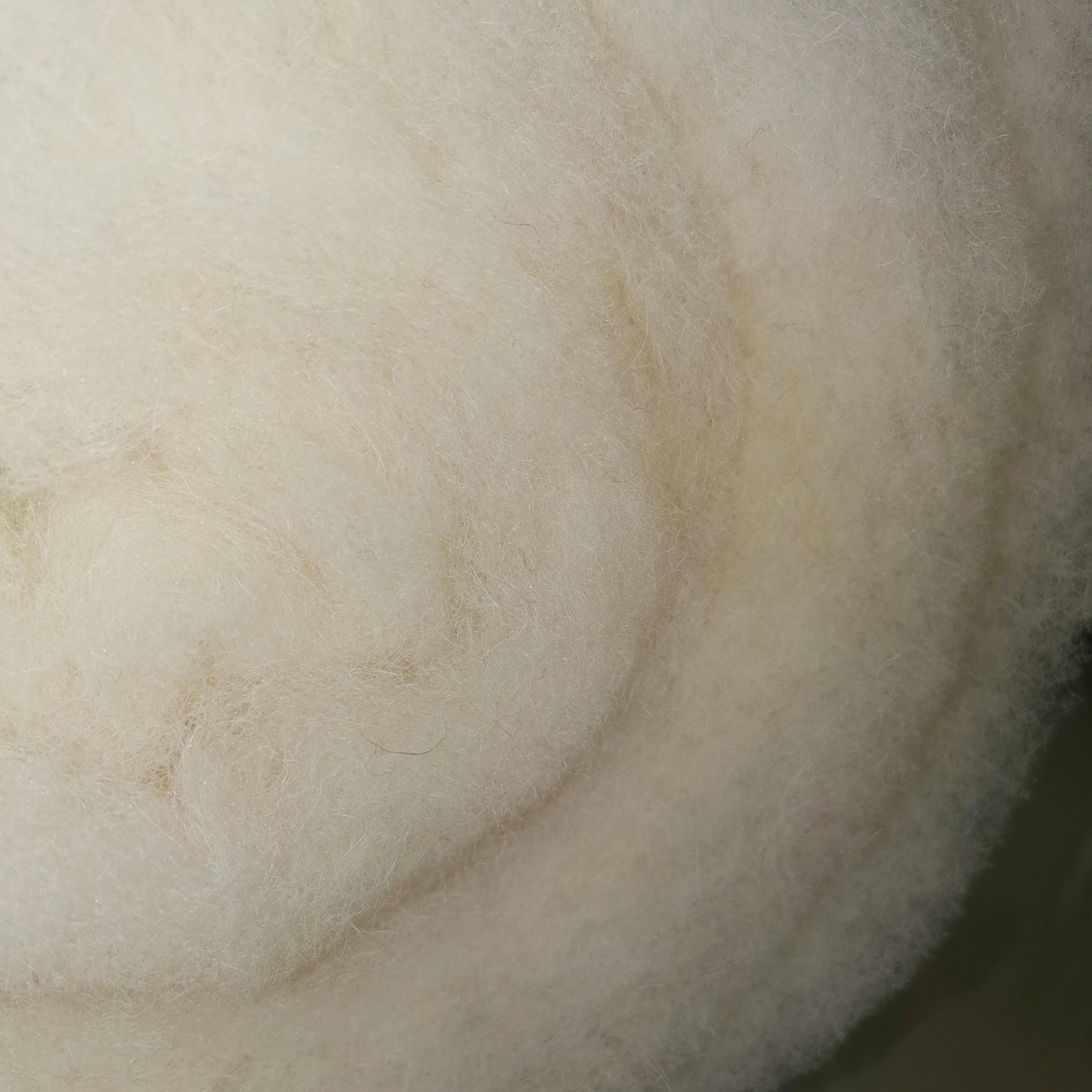 GOTS natural  wool wadding wool