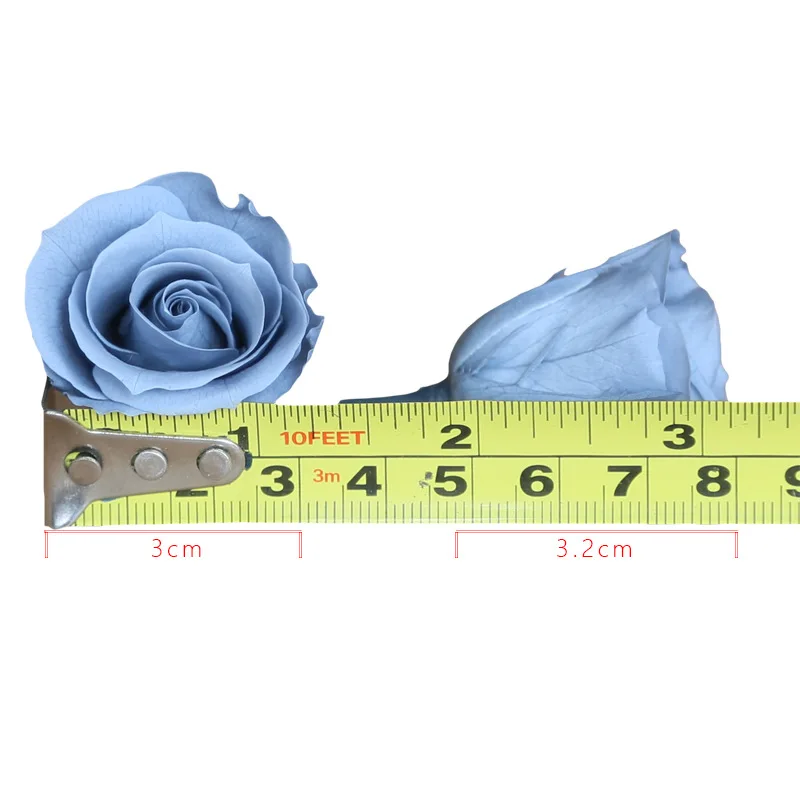 2-3 cm Fresh A Grade Good Quality  Real Natural Eternal Forever Immortal Flower Head Preserved Roses