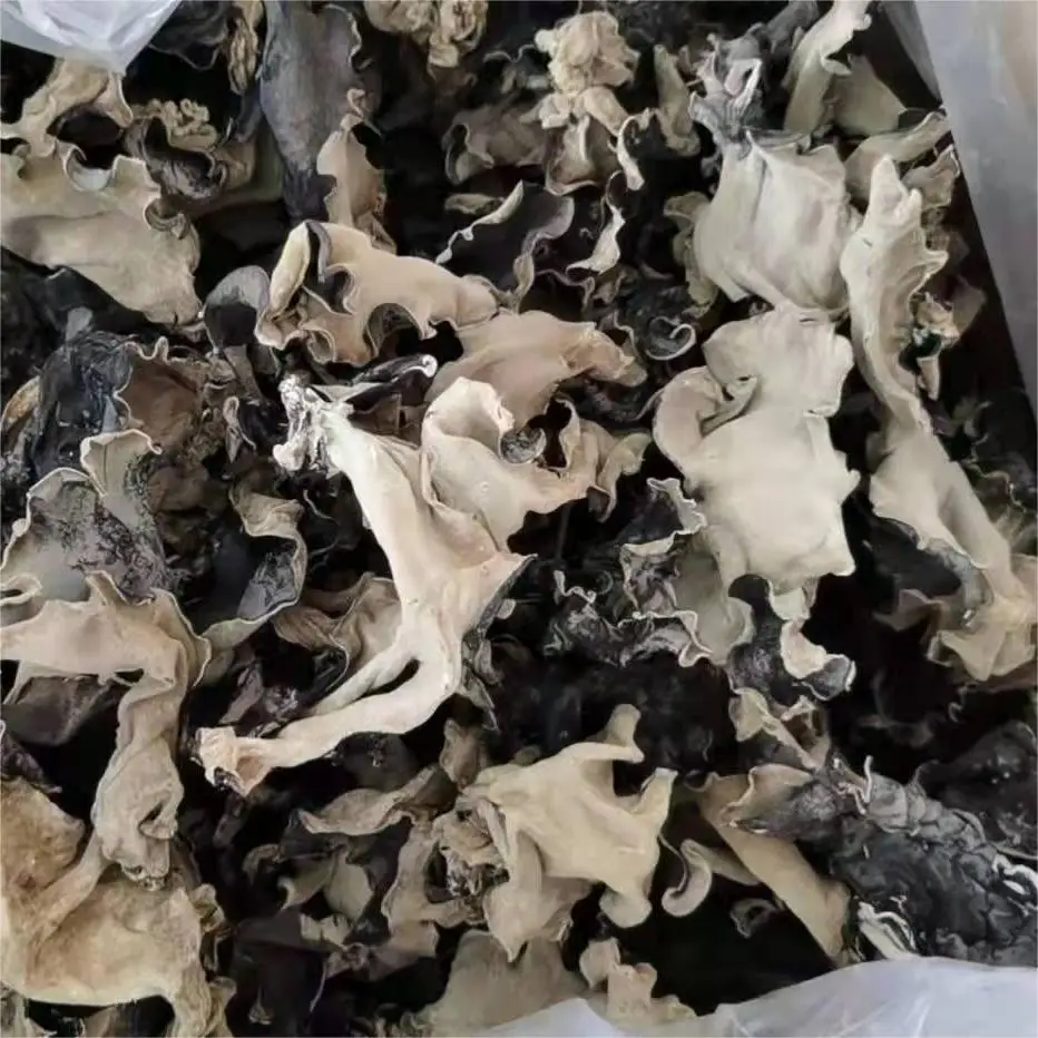 Factory Price Premium Quality Unwashed Dry Black Fungus Mushroom and White Back Fungus Good Quality