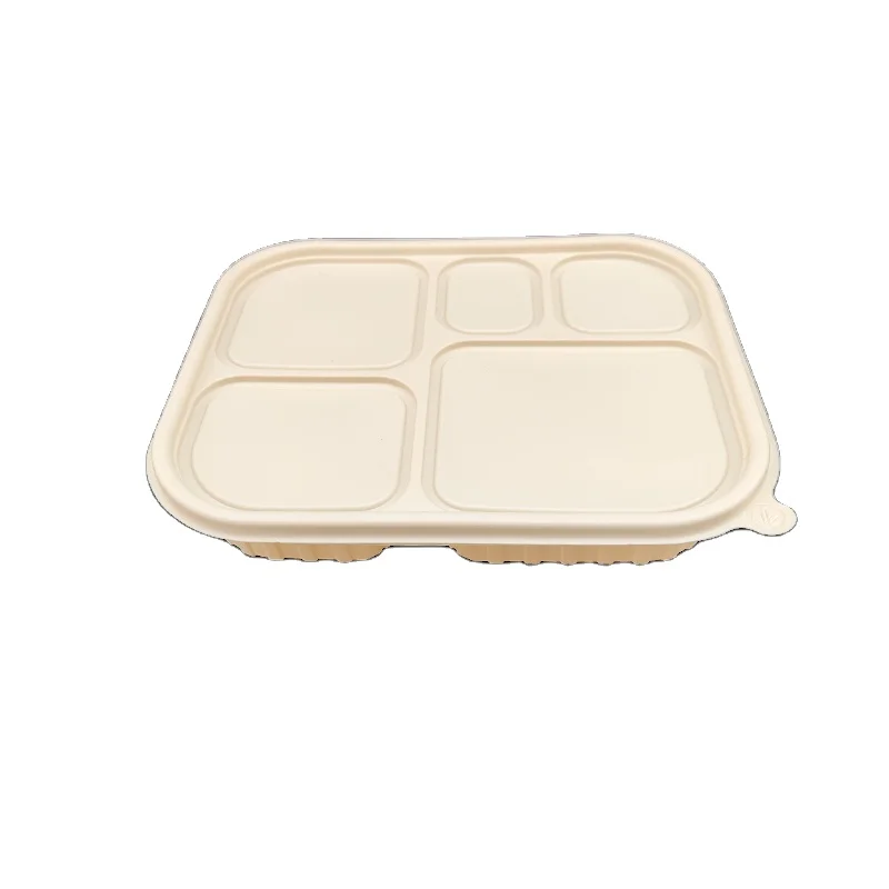 5 Compartment Eco-Friendly Biodegradable Disposable Cornstarch Bento Lunch Box with Lid Takeaway Food Container