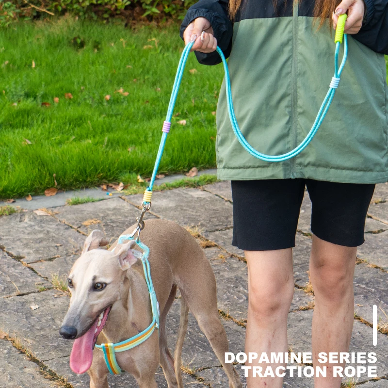 OKKPETS 2024 New Design Colorful Luxury Hands-free Dog Rope Leash Adjustable Length Polyester Lead for Small Large Medium Dogs