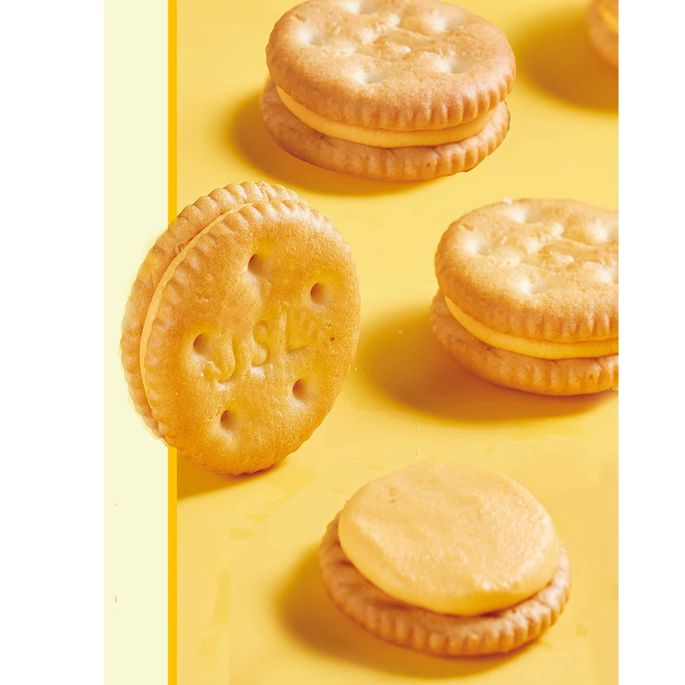 Cheese Biscuits Salty Rich Cheese Flavor Wholesale Cheese Biscuits and cookies Box package Jiashili Brand Factory Direct 105g