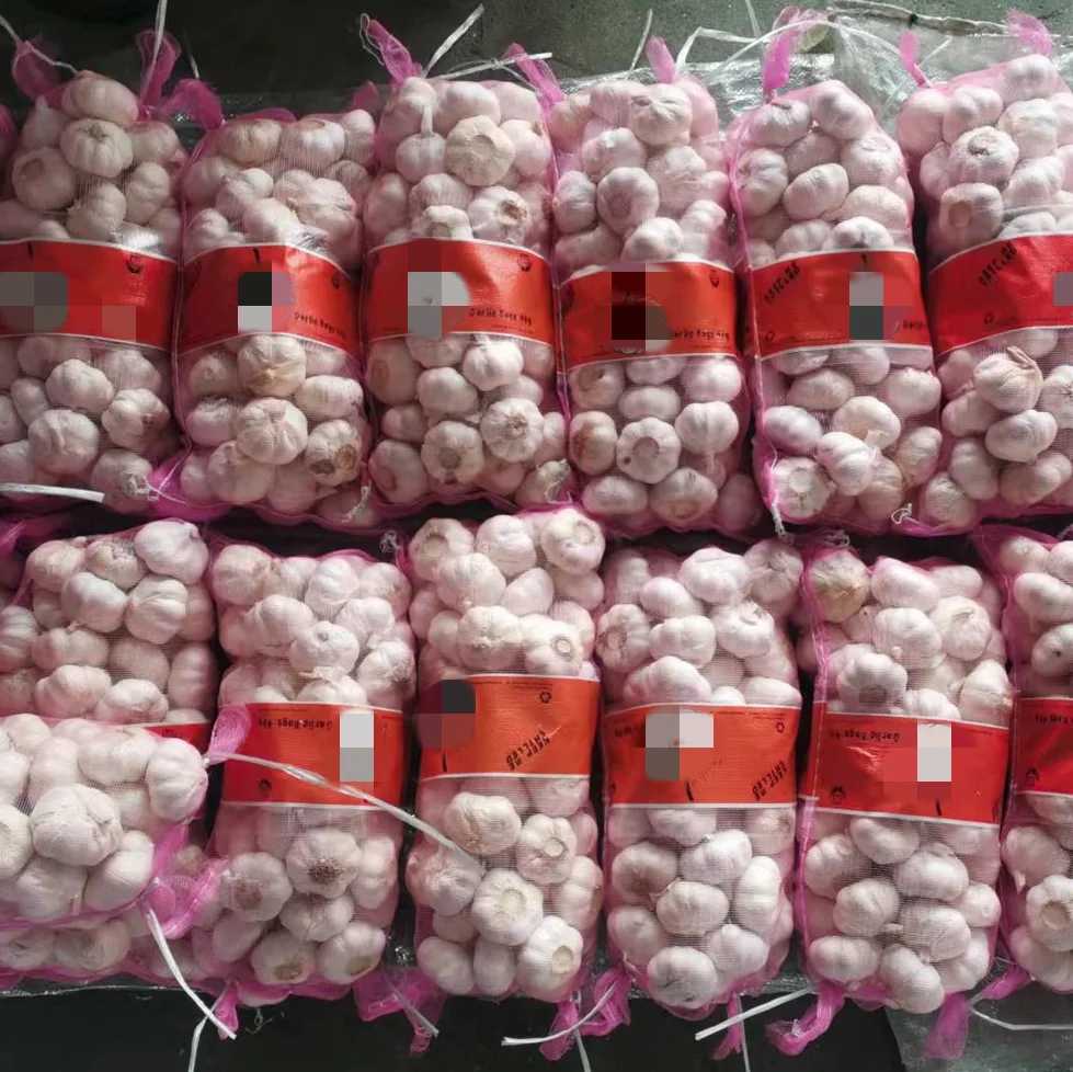 Customized Garlic Mesh Bags Fresh Red Garlic Cardboard Garlic Planter