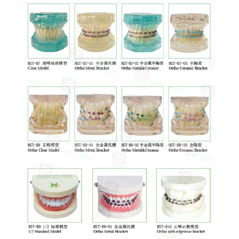1-5.jpg