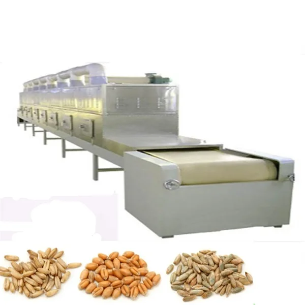 Microwave Drying Equipment for Nuts and Dried Fruits Drying Sterilizer