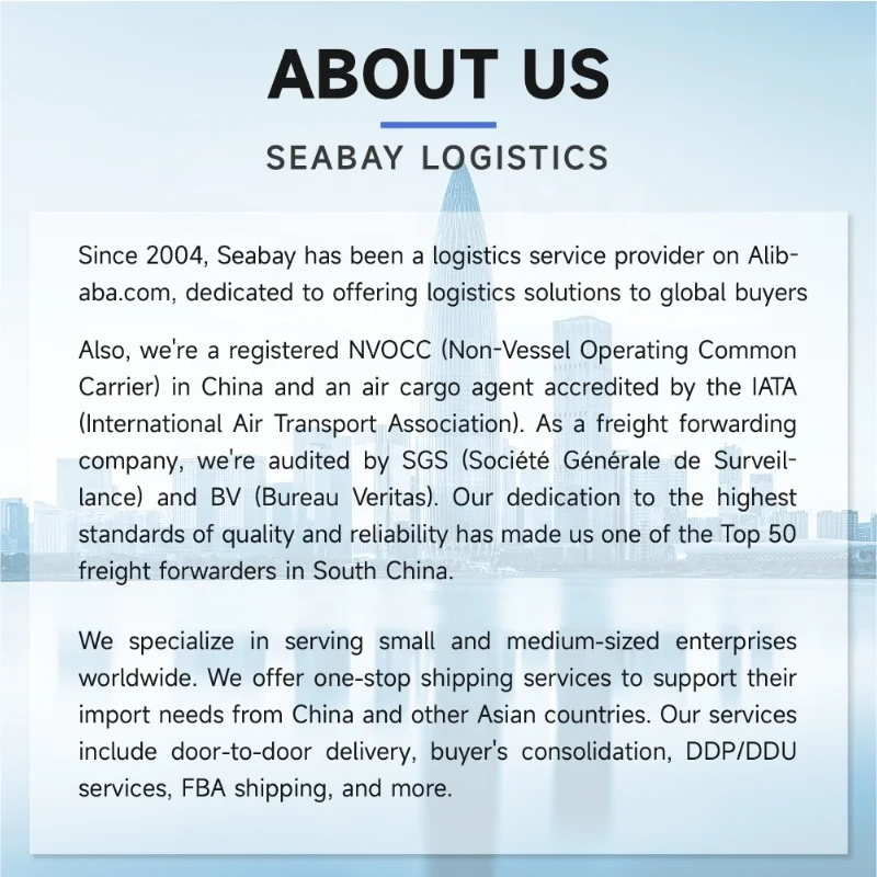 Seabay Shipping service from China to Russia freight forwarder cargo agent door to door delivery service logistics agent
