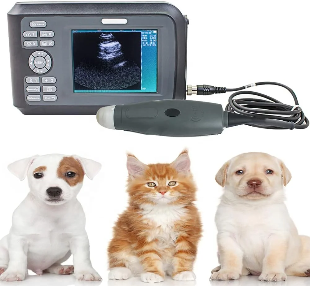 High Quality CRT Portable Veterinary Ultrasound Scanner Laptop Ultrasound Machine for Veterinary