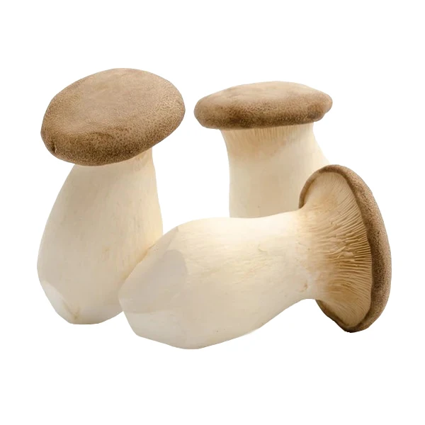 King Oyster Mushroom Sliced Sticks Good Quality