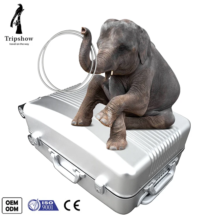 Round Luggage Sets 20 Inch Trolley Suitcase Set Travel Suitcase On Wheels Carry On Cabin Rolling Luggage