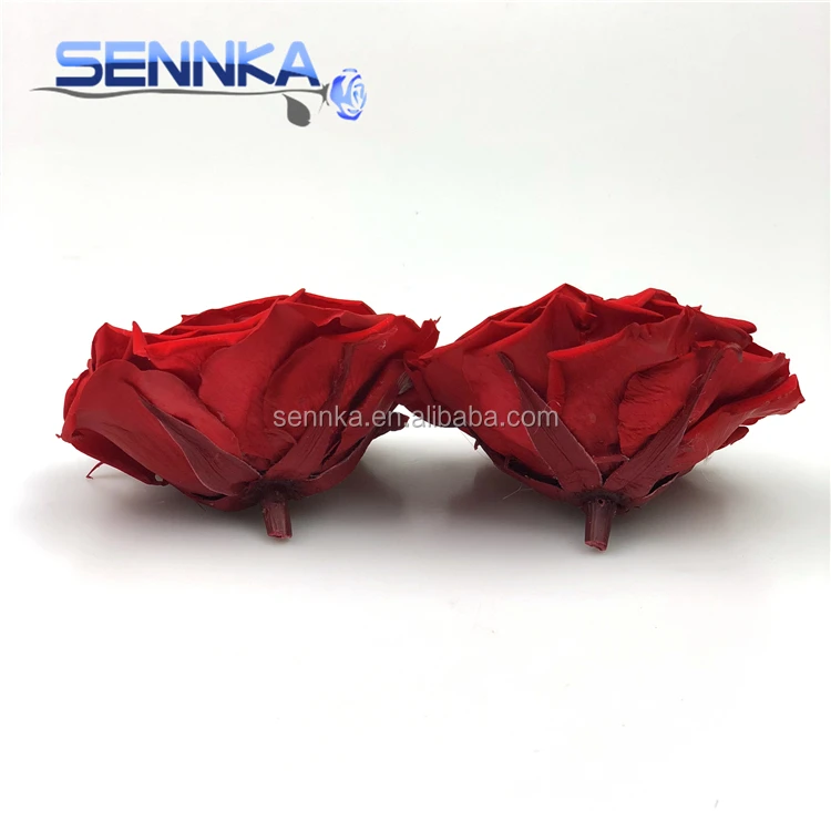Fresh Cut Flower Holland Long Lasting Royal Blue Preserved Roses from Yunnan Sennka