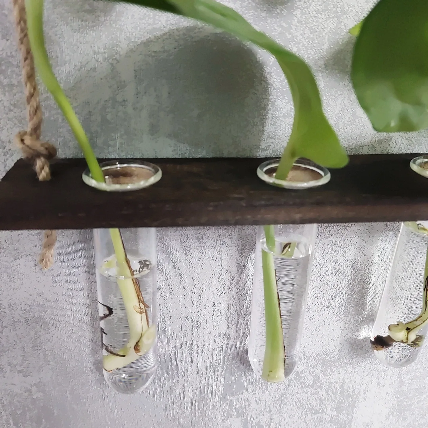 Wall Hanging Propagation Station with Wooden Stand 5 Glass Test Tubes 3 Tiered Wall Terrarium Home Plant Hanger Flower Vases