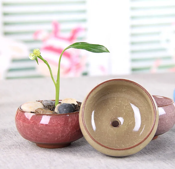 Ceramic Mini Flower Pot Cactus Plant Pots Flower Pots Container Planter for Home Garden Office Decoration