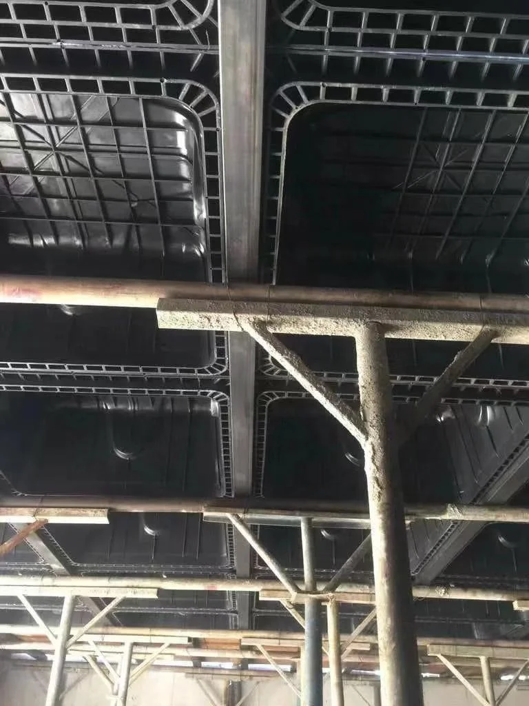 Building Roof Reusable Waterproof Plastic Formwork Waffle Slab Formwork Systems For Concrete